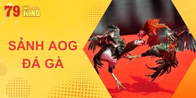 AOG Đá Gà – Sảnh Chọi Kê 79KING Xanh Chín Hàng Đầu